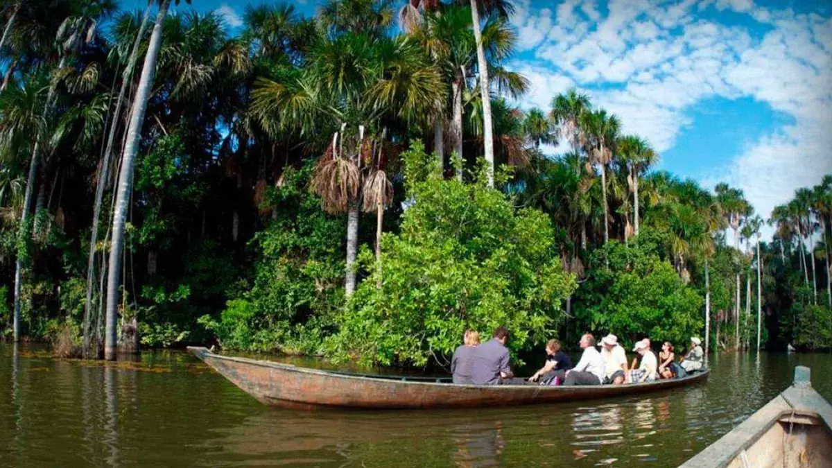 Travellers walking the forest trail towards Lake Sandoval on a cheap full-day Puerto Maldonado Amazon tour, Tambopata, Peru