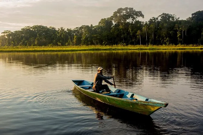 Giant river otter surfacing in Sandoval Lake on a 2-day Puerto Maldonado Amazon tour in Tambopata, Peru