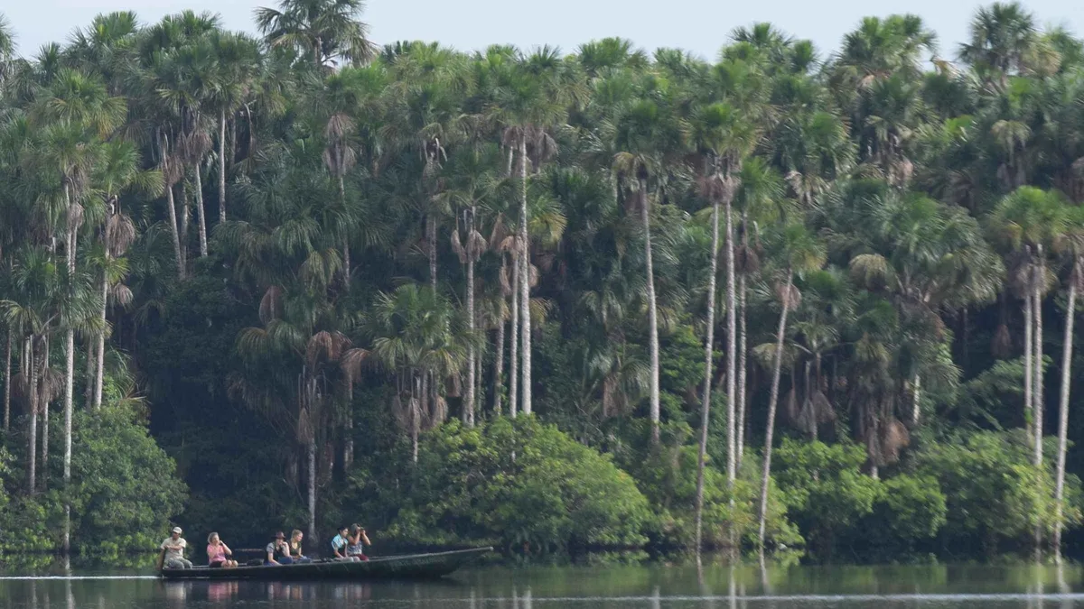Paddle canoe on the still water of Sandoval Lake on a full-day Puerto Maldonado Amazon tour in Tambopata, Peru